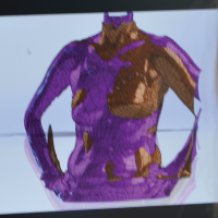 Radiant Impressions Scan Technology