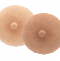 Radiant Impressions Semi Custom Nipple
