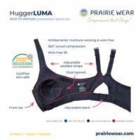Labeled picture describing the features of the bra