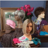 Category Image for Wig Care Products and Accessories