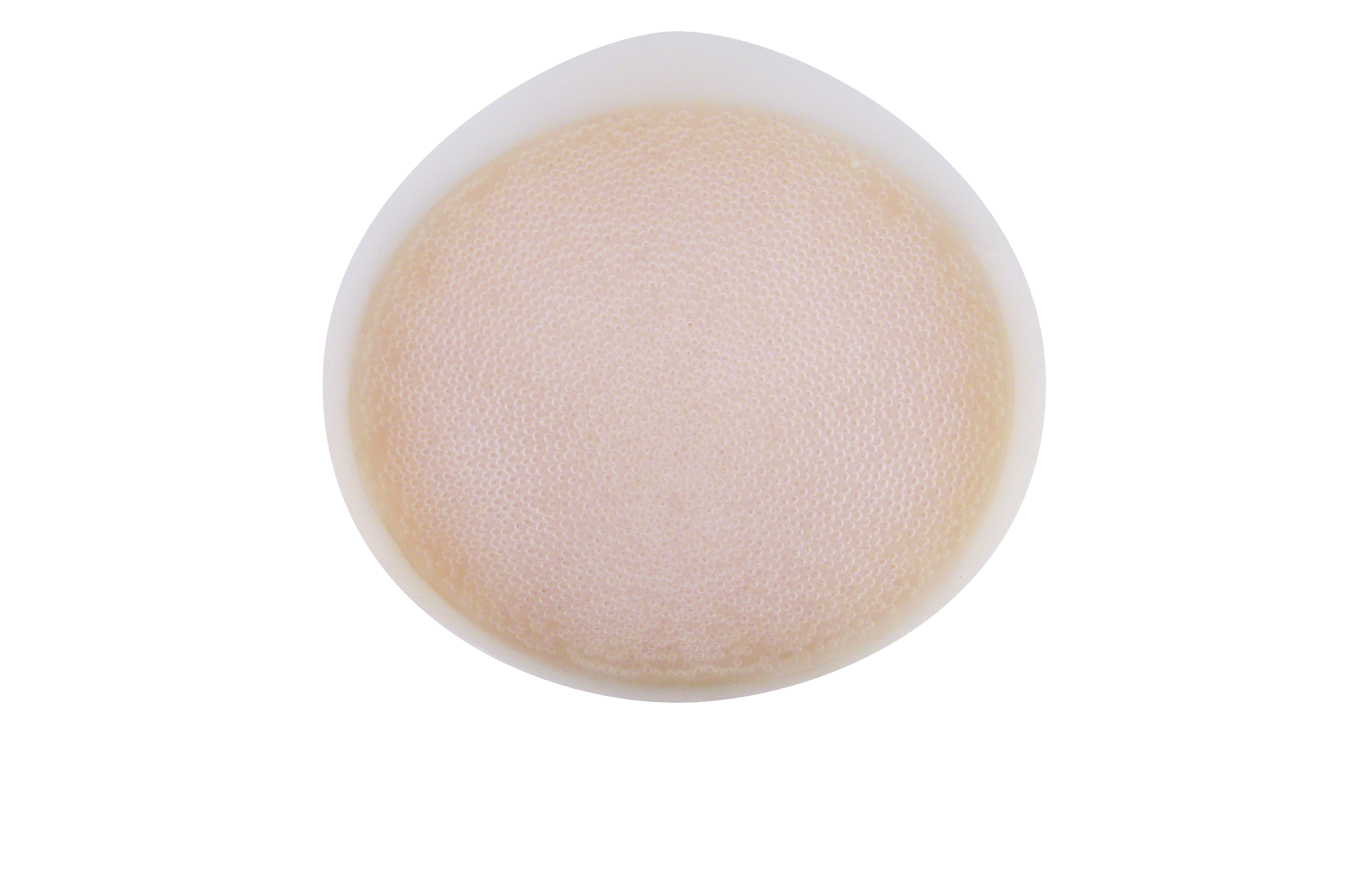 Trulife 822 ReCover Shell Silicone Breast Form Back